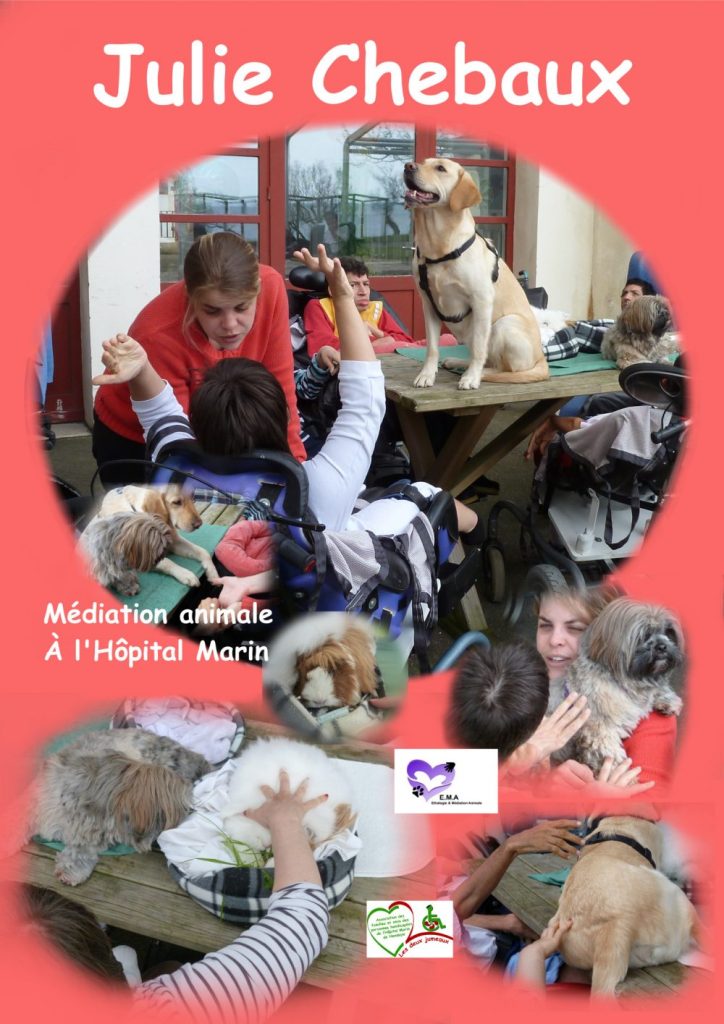 sur fond de couleur, plusieurs vues de julie chebaux avec ses animaux et les patient dans les pavillons de l'hopital marin de hendaye