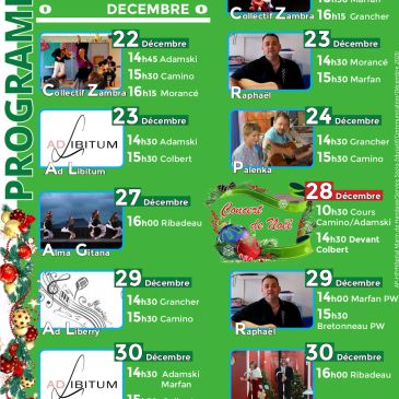 affiche des concerts de Noêl