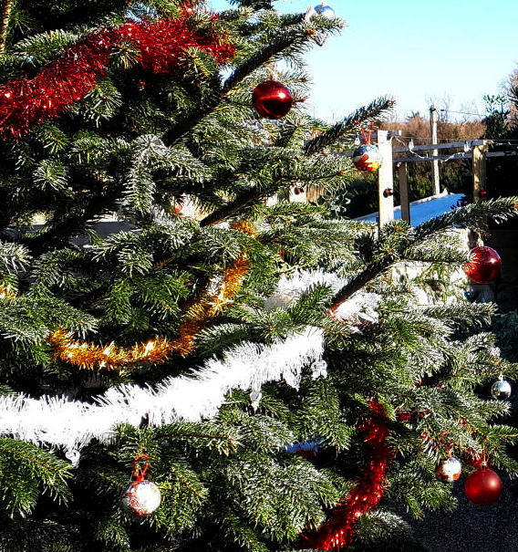 arbre de noel décoré de guirlandes et de boules