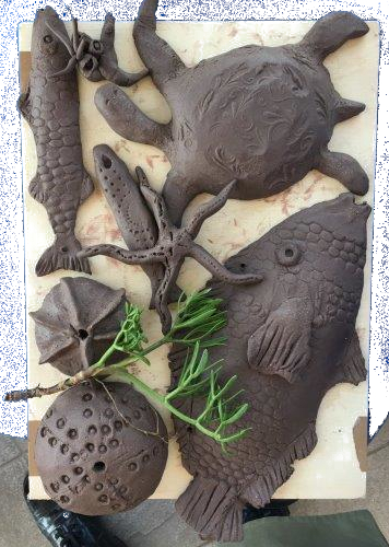 céramique à la fin de la séance : poissons et crustacés donc couleur gris